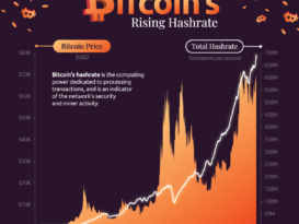 BitcoinVoroBar